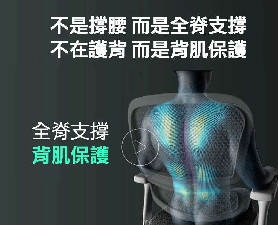 不是撐腰 而是全脊支撐不在護背 而是背肌保護全脊支撐背肌保護