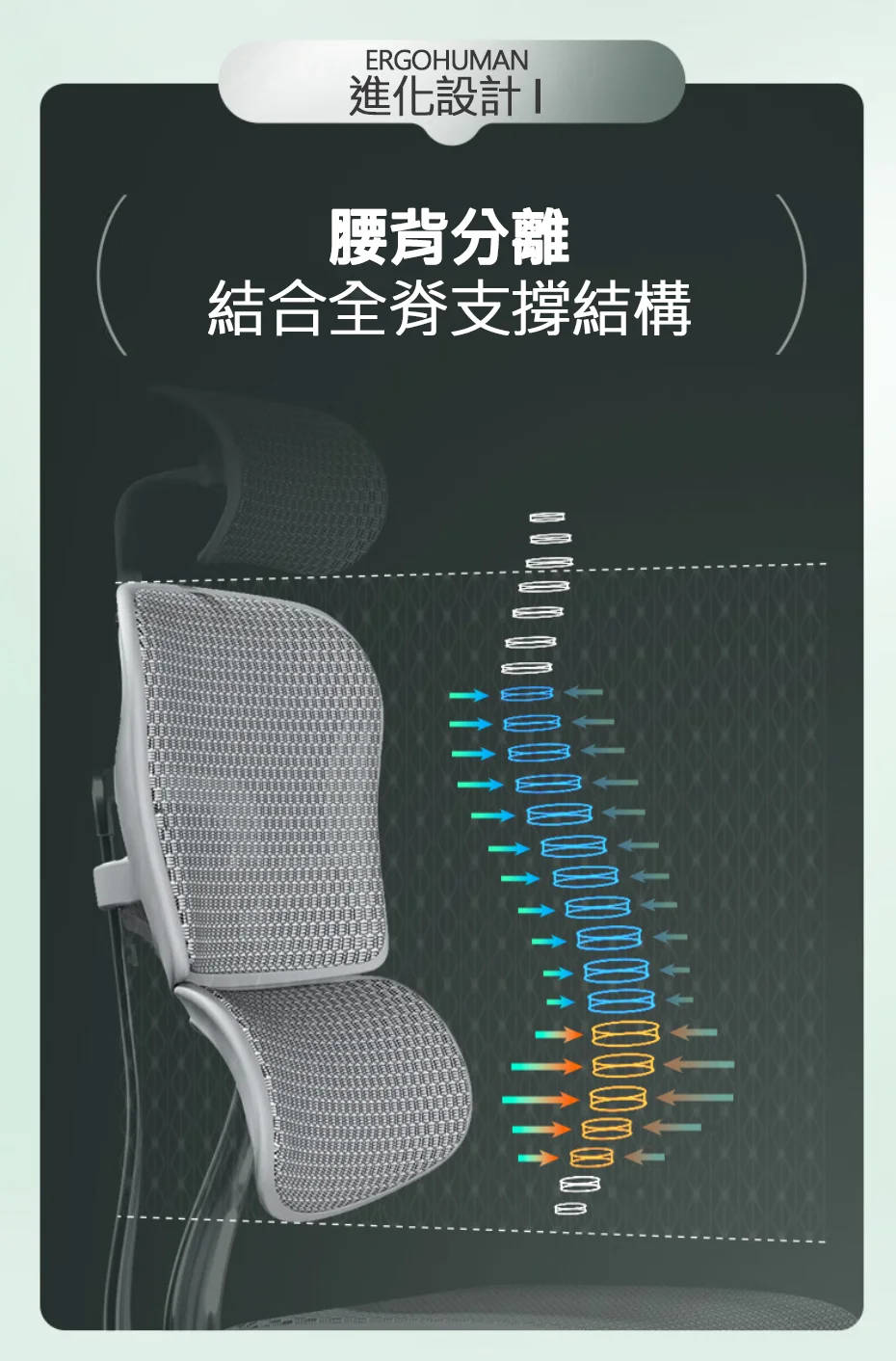 ERGOHUMAN進化設計腰背分離結合全脊支撐結構
